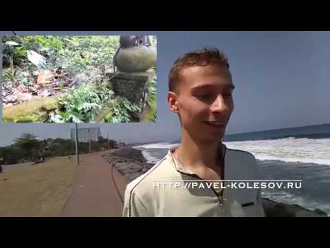 _att_xgJyf4yV-Oo_attachment